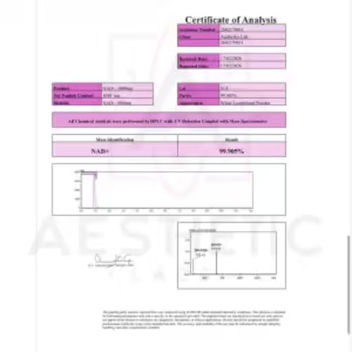 NAD+ Aesthetic Labs 1000 Mg Energia Celular